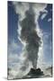 Castle Geyser Erupting, Upper Geyser Basin, Yellowstone National Park, Wyoming-Adam Jones-Mounted Photographic Print