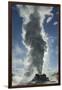 Castle Geyser Erupting, Upper Geyser Basin, Yellowstone National Park, Wyoming-Adam Jones-Framed Premium Photographic Print