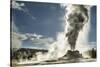 Castle Geyser erupting, Upper Geyser Basin, Yellowstone National Park, Wyoming-Adam Jones-Stretched Canvas