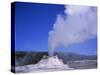 Castle Geyser Erupting, Yellowstone National Park, Wyoming, USA-David Kjaer-Stretched Canvas