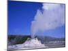 Castle Geyser Erupting, Yellowstone National Park, Wyoming, USA-David Kjaer-Mounted Photographic Print