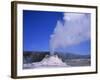 Castle Geyser Erupting, Yellowstone National Park, Wyoming, USA-David Kjaer-Framed Photographic Print