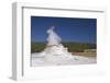 Castle Geyser, Upper Geyser Basin, Yellowstone Nat'l Park, UNESCO World Heritage Site, Wyoming, USA-Peter Barritt-Framed Photographic Print