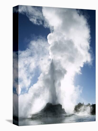 Castle Geyser, Upper Geyser Basin, Yellowstone National Park, Wyoming-Roy Rainford-Stretched Canvas