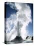 Castle Geyser, Upper Geyser Basin, Yellowstone National Park, Wyoming-Roy Rainford-Stretched Canvas