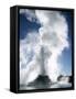 Castle Geyser, Upper Geyser Basin, Yellowstone National Park, Wyoming-Roy Rainford-Framed Stretched Canvas