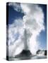 Castle Geyser, Upper Geyser Basin, Yellowstone National Park, Wyoming-Roy Rainford-Stretched Canvas