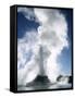 Castle Geyser, Upper Geyser Basin, Yellowstone National Park, Wyoming-Roy Rainford-Framed Stretched Canvas