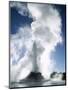 Castle Geyser, Upper Geyser Basin, Yellowstone National Park, Wyoming-Roy Rainford-Mounted Photographic Print