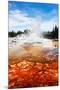 Castle Geyser Yellowstone Park-null-Mounted Premium Giclee Print