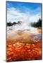 Castle Geyser Yellowstone Park-null-Mounted Art Print