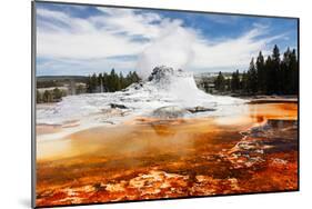 Castle Geyser Yellowstone Park-null-Mounted Art Print