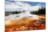 Castle Geyser Yellowstone Park-null-Mounted Art Print