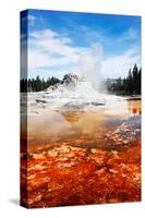 Castle Geyser Yellowstone Park-null-Stretched Canvas