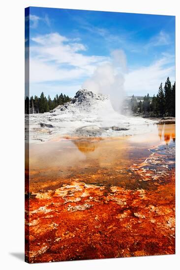 Castle Geyser Yellowstone Park-null-Stretched Canvas