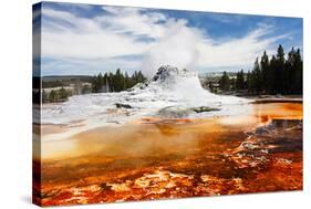 Castle Geyser Yellowstone Park-null-Stretched Canvas