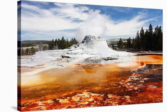 Castle Geyser Yellowstone Park-null-Stretched Canvas