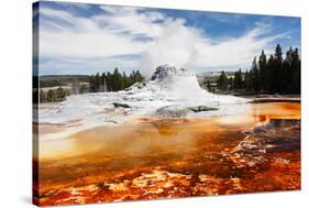 Castle Geyser Yellowstone Park-null-Stretched Canvas