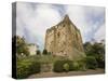 Castle, Guildford, Surrey, England, United Kingdom, Europe-Jean Brooks-Stretched Canvas