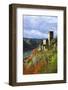 Castle Gutenfels High Above the Rhine, Autumn, on the Bottom Left the Town Kaub-Uwe Steffens-Framed Photographic Print