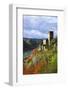 Castle Gutenfels High Above the Rhine, Autumn, on the Bottom Left the Town Kaub-Uwe Steffens-Framed Photographic Print