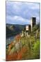 Castle Gutenfels High Above the Rhine, Autumn, on the Bottom Left the Town Kaub-Uwe Steffens-Mounted Photographic Print