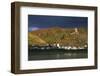 Castle Gutenfels High over the River Rhine, Autumn-Uwe Steffens-Framed Photographic Print