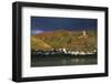 Castle Gutenfels High over the River Rhine, Autumn-Uwe Steffens-Framed Photographic Print