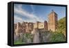 Castle, Heidelberg, Baden-Wurttemberg, Germany, Europe-Markus Lange-Framed Stretched Canvas