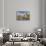 Castle, Heidelberg, Baden-Wurttemberg, Germany, Europe-Markus Lange-Stretched Canvas displayed on a wall