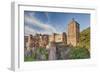 Castle, Heidelberg, Baden-Wurttemberg, Germany, Europe-Markus Lange-Framed Photographic Print