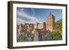 Castle, Heidelberg, Baden-Wurttemberg, Germany, Europe-Markus Lange-Framed Premium Photographic Print