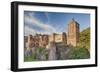 Castle, Heidelberg, Baden-Wurttemberg, Germany, Europe-Markus Lange-Framed Premium Photographic Print