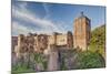 Castle, Heidelberg, Baden-Wurttemberg, Germany, Europe-Markus Lange-Mounted Photographic Print