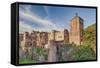 Castle, Heidelberg, Baden-Wurttemberg, Germany, Europe-Markus Lange-Framed Stretched Canvas