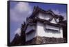 Castle in Nagoya, Japan, Dating Back to 1612-null-Framed Stretched Canvas