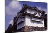 Castle in Nagoya, Japan, Dating Back to 1612-null-Mounted Giclee Print