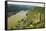Castle Maus and River Rhine, Rhineland-Palatinate, Germany, Europe-Jochen Schlenker-Framed Stretched Canvas