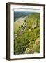 Castle Maus and River Rhine, Rhineland-Palatinate, Germany, Europe-Jochen Schlenker-Framed Photographic Print