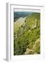 Castle Maus and River Rhine, Rhineland-Palatinate, Germany, Europe-Jochen Schlenker-Framed Photographic Print