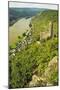 Castle Maus and River Rhine, Rhineland-Palatinate, Germany, Europe-Jochen Schlenker-Mounted Photographic Print