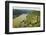 Castle Maus and River Rhine, Rhineland-Palatinate, Germany, Europe-Jochen Schlenker-Framed Photographic Print