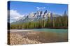 Castle Mountain Behind the Bow River at Castle Junction-Neale Clark-Stretched Canvas