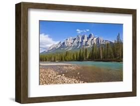 Castle Mountain Behind the Bow River at Castle Junction-Neale Clark-Framed Photographic Print