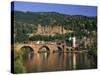 Castle, Neckar River and Alte Bridge, Heidelberg, Baden Wurttemberg, Germany, Europe-Gavin Hellier-Stretched Canvas