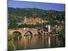 Castle, Neckar River and Alte Bridge, Heidelberg, Baden Wurttemberg, Germany, Europe-Gavin Hellier-Mounted Photographic Print