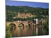 Castle, Neckar River and Alte Bridge, Heidelberg, Baden Wurttemberg, Germany, Europe-Gavin Hellier-Mounted Photographic Print