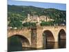 Castle, Neckar River and Alte Bridge, Heidelberg, Baden-Wurttemberg, Germany, Europe-Gavin Hellier-Mounted Photographic Print
