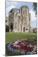 Castle, Newark, Nottinghamshire, England, United Kingdom-Rolf Richardson-Mounted Photographic Print
