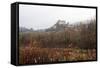 Castle of Berze-Le-Chatel on the Way to Cluny, Burgundy, France, Europe-Oliviero-Framed Stretched Canvas